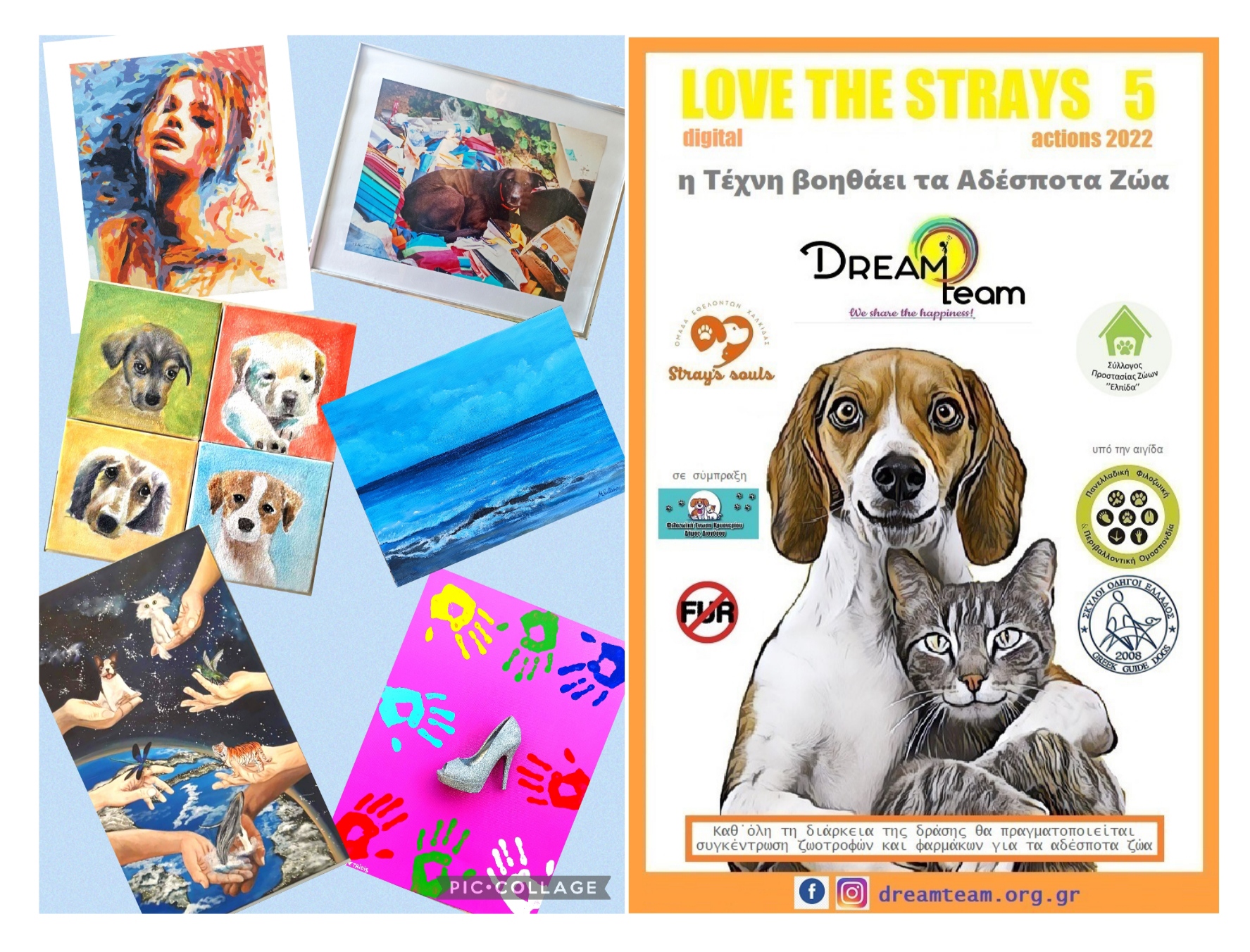 COVER LOVE THE STRAYS 5