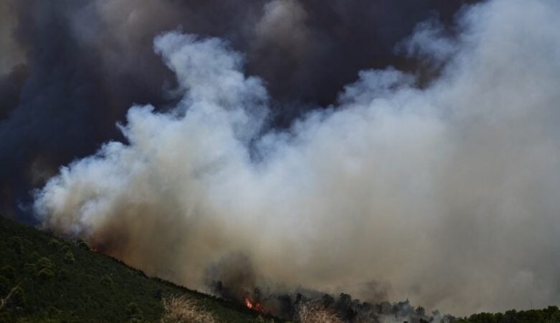 Δολιανίτης: "Fake η είδηση για πυρκαγιά στο Λεωνίδιο - Δεν κινδύνευσε ο Βιολογικός - Ήταν ελεγχόμενη καύση κλαδιών, με την άδεια της Πυροσβεστικής"!