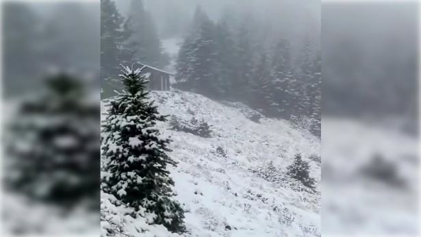 Εκπληκτικό βίντεο από το χιονισμένο Μαίναλο! (vd)