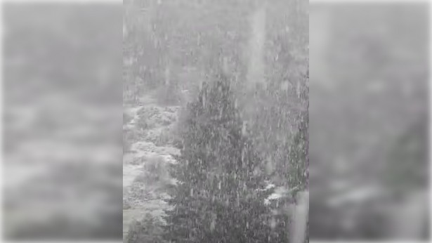 Πυκνή χιονόπτωση στο Μαίναλο | Ο Χειμώνας αρχίζει να δείχνει τα "δόντια" του! (vd)