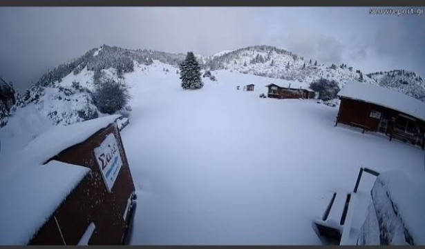 &Eta; &Alpha;&rho;&kappa;&alpha;&delta;ί&alpha; "&epsilon;ί&delta;&epsilon;" &xi;&alpha;&nu;ά &chi;&iota;ό&nu;&iota; &sigma;&tau;&alpha; &omicron;&rho;&epsilon;&iota;&nu;ά! (&epsilon;&iota;&kappa;ό&nu;&epsilon;&sigmaf;)