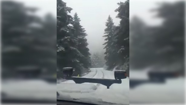 &Chi;&epsilon;&iota;&mu;&omega;&nu;&iota;ά&tau;&iota;&kappa;&omicron; &sigma;&kappa;&eta;&nu;&iota;&kappa;ό &sigma;&tau;&eta;&nu; &kappa;&alpha;&rho;&delta;&iota;ά &tau;&eta;&sigmaf; ά&nu;&omicron;&iota;&xi;&eta;&sigmaf;: &Sigma;&tau;&alpha; &lambda;&epsilon;&upsilon;&kappa;ά &eta; &Alpha;&rho;&kappa;&alpha;&delta;ί&alpha; ... &xi;&alpha;&nu;ά! (&epsilon;&iota;&kappa;ό&nu;&epsilon;&sigmaf;)