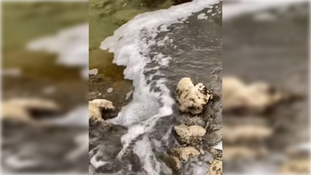 &Gamma;&omicron;&rho;&tau;&upsilon;&nu;ί&alpha; | &Sigma;&omicron;&beta;&alpha;&rho;ή &kappa;&alpha;&tau;&alpha;&gamma;&gamma;&epsilon;&lambda;ί&alpha; &gamma;&iota;&alpha; &rho;ύ&pi;&alpha;&nu;&sigma;&eta; &mu;&epsilon; &beta;&omicron;&theta;&rho;&omicron;&lambda;ύ&mu;&alpha;&tau;&alpha; &sigma;&tau;&omicron;&nu; &Mu;&upsilon;&lambda;ά&omicron;&nu;&tau;&alpha; &pi;&omicron;&tau;&alpha;&mu;ό (vd)
