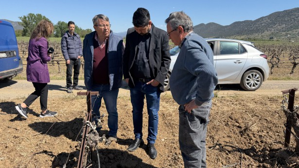 &Epsilon;&Lambda;&Gamma;&Alpha; &kappa;&alpha;&iota; &Delta;ή&mu;&omicron;&sigmaf; &Tau;&rho;ί&pi;&omicron;&lambda;&eta;&sigmaf; &sigma;&tau;&omicron; &Zeta;&epsilon;&upsilon;&gamma;&omicron;&lambda;&alpha;&tau;&iota;ό &gamma;&iota;&alpha; &tau;&iota;&sigmaf; &zeta;&eta;&mu;&iota;έ&sigmaf; &alpha;&pi;ό &tau;&omicron;&nu; &pi;&alpha;&gamma;&epsilon;&tau;ό! (&epsilon;&iota;&kappa;ό&nu;&epsilon;&sigmaf; - &beta;ί&nu;&tau;&epsilon;&omicron;)