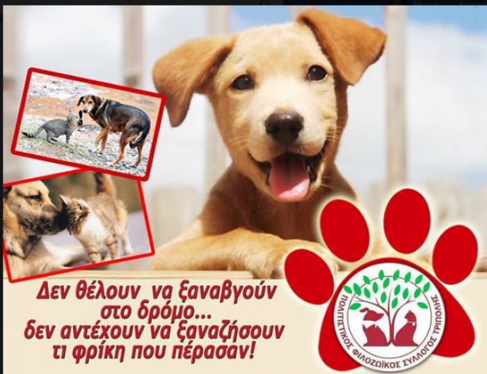 Πάνω από 100 ζώα έχει στη φροντίδα του ο Φιλοζωικός Σύλλογος Τρίπολης!