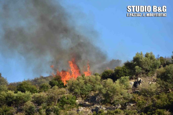 Μεγάλη φωτιά στην Αργολίδα (εικόνες)