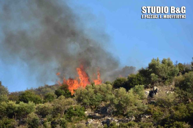 Μεγάλη φωτιά στην Αργολίδα (εικόνες)