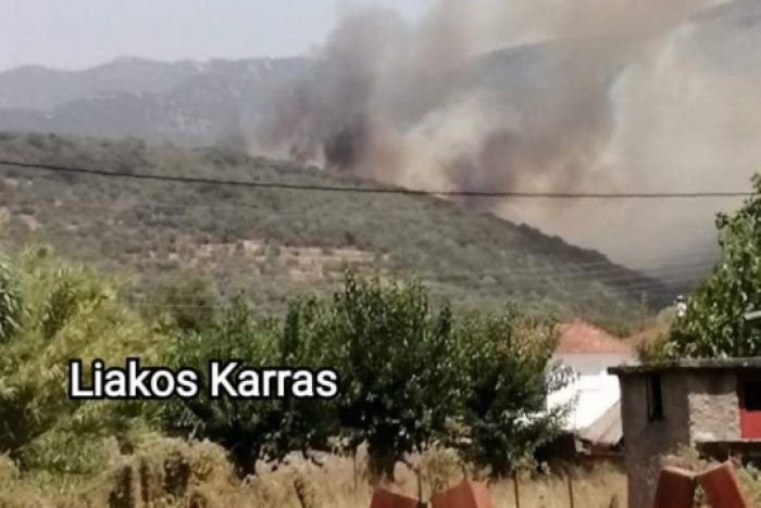 &Tau;έ&sigma;&sigma;&epsilon;&rho;&alpha; &chi;&omega;&rho;&iota;ά &kappa;&alpha;&iota; έ&nu;&alpha;&sigmaf; &omicron;&iota;&kappa;&iota;&sigma;&mu;ό&sigmaf; έ&chi;&omicron;&upsilon;&nu; &epsilon;&kappa;&kappa;&epsilon;&nu;&omega;&theta;&epsilon;ί &sigma;&tau;&omicron;&nu; &Delta;ή&mu;&omicron; &Mu;&epsilon;&gamma;&alpha;&lambda;ό&pi;&omicron;&lambda;&eta;&sigmaf; &ndash; Έ&nu;&tau;&omicron;&nu;&omicron;&sigmaf; &kappa;&alpha;&pi;&nu;ό&sigmaf; &sigma;&tau;&eta;&nu; &pi;&epsilon;&rho;&iota;&omicron;&chi;ή