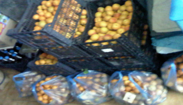 &Kappa;ά&tau;&omicron;&iota;&kappa;&omicron;&sigmaf; &Alpha;&rho;&gamma;&omicron;&lambda;ί&delta;&alpha;&sigmaf; &pi;&rho;ό&sigma;&phi;&epsilon;&rho;&epsilon; 500 &kappa;&iota;&lambda;ά &beta;&epsilon;&rho;ί&kappa;&omicron;&kappa;&alpha; &sigma;&tau;&omicron; &kappa;&omicron;&iota;&nu;&omega;&nu;&iota;&kappa;ό &pi;&alpha;&nu;&tau;&omicron;&pi;&omega;&lambda;&epsilon;ί&omicron; &tau;&eta;&sigmaf; &Mu;&eta;&tau;&rho;ό&pi;&omicron;&lambda;&eta;&sigmaf; &Mu;&alpha;&nu;&tau;&iota;&nu;&epsilon;ί&alpha;&sigmaf; &kappa;&alpha;&iota; &Kappa;&upsilon;&nu;&omicron;&upsilon;&rho;ί&alpha;&sigmaf;