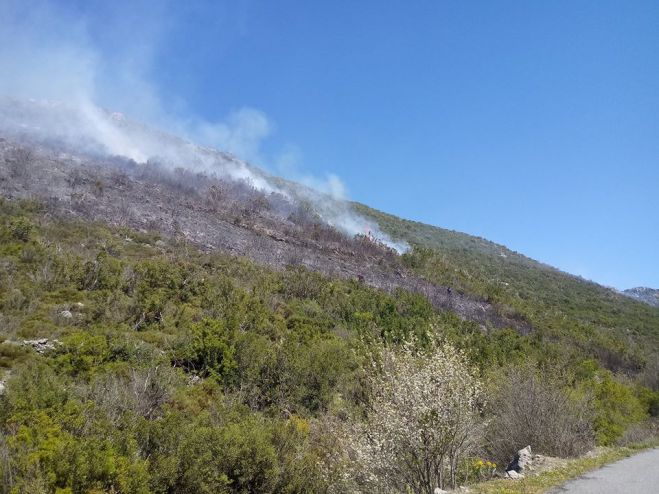 Φωτιά ξέσπασε στον Άκοβο Μεγαλόπολης