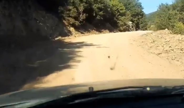 &quot;Προχωρούν με γρήγορο ρυθμό τα έργα στο δρόμο προς τη λίμνη Λάδωνα&quot; (vd)