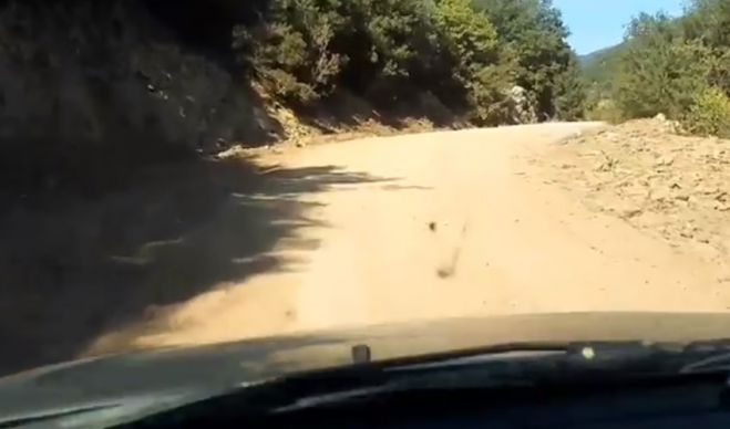 &quot;Προχωρούν με γρήγορο ρυθμό τα έργα στο δρόμο προς τη λίμνη Λάδωνα&quot; (vd)