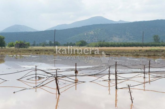 ΕΛΓΑ - Πληρώνει αποζημιώσεις πάνω από 2.500.000 € για ζημιές στην Αρκαδία!