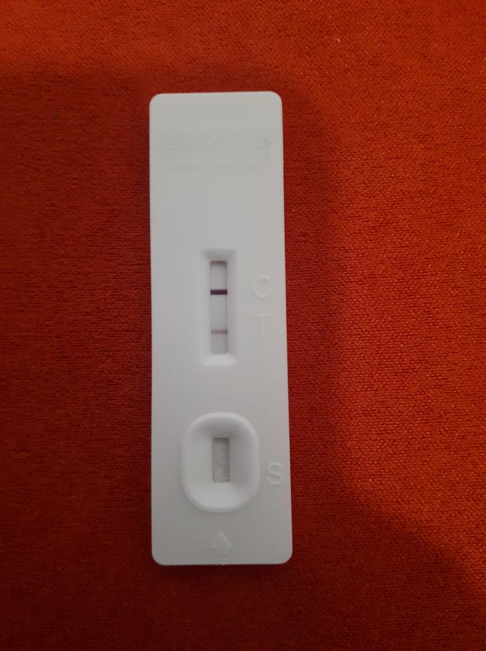 &Theta;&epsilon;&tau;&iota;&kappa;ό&sigmaf; &sigma;&tau;&omicron;&nu; covid &omicron; &Delta;ή&mu;&alpha;&rho;&chi;&omicron;&sigmaf; &Lambda;&upsilon;&sigma;ί&kappa;&alpha;&tau;&omicron;&sigmaf;