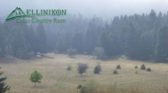 “Ellinikon Cross Country Race” - Βραβεύτηκε ο ΣΑΟΟ