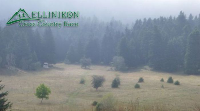 “Ellinikon Cross Country Race” - Βραβεύτηκε ο ΣΑΟΟ
