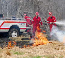 &Upsilon;&pi;ό &epsilon;&lambda;έ&gamma;&chi;&omicron; &eta; &pi;&upsilon;&rho;&kappa;&alpha;&gamma;&iota;ά &sigma;&tau;&eta; &Gamma;&omicron;&rho;&tau;&upsilon;&nu;ί&alpha;