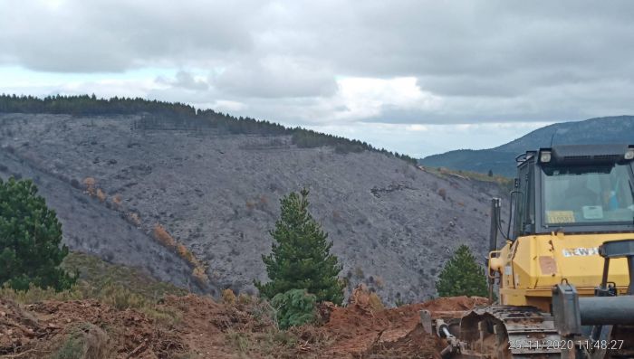 &Pi;&upsilon;&rho;&kappa;&alpha;&gamma;&iota;ά &sigma;&tau;&omicron;&nu; Ά&gamma;&iota;&omicron; &Pi;έ&tau;&rho;&omicron; &Kappa;&upsilon;&nu;&omicron;&upsilon;&rho;ί&alpha; | &Sigma;ύ&lambda;&lambda;&eta;&psi;&eta; &gamma;&iota;&alpha; &epsilon;&mu;&pi;&rho;&eta;&sigma;&mu;ό &alpha;&pi;ό &alpha;&mu;έ&lambda;&epsilon;&iota;&alpha;