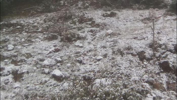 &Tau;&alpha; &pi;&rho;ώ&tau;&alpha; &chi;&iota;ό&nu;&iota;&alpha; &sigma;&tau;&eta;&nu; &omicron;&rho;&epsilon;&iota;&nu;ή &Kappa;&upsilon;&nu;&omicron;&upsilon;&rho;ί&alpha;!