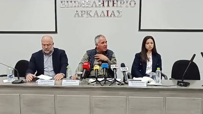 &Eta; &tau;&omicron;&pi;&omicron;&theta;έ&tau;&eta;&sigma;&eta; &Tau;&rho;&omicron;&upsilon;&pi;ή &gamma;&iota;&alpha; &tau;&eta;&nu; &Mu;&epsilon;&gamma;&alpha;&lambda;ό&pi;&omicron;&lambda;&eta;: &laquo;&Sigma;&pi;ά&epsilon;&iota; &eta; &kappa;&alpha;&rho;&delta;&iota;ά &mu;&alpha;&sigmaf; ό&tau;&alpha;&nu; &kappa;&alpha;&tau;&epsilon;&beta;&alpha;ί&nu;&omicron;&upsilon;&mu;&epsilon; &kappa;ά&tau;&omega;&raquo; (vd)