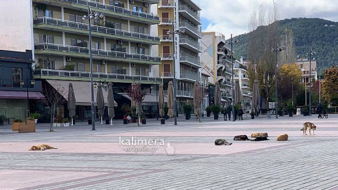 &Kappa;&alpha;&tau;&alpha;&gamma;&gamma;&epsilon;&lambda;ί&alpha; | "&Alpha;&gamma;έ&lambda;&eta; &sigma;&kappa;&upsilon;&lambda;&iota;ώ&nu; &epsilon;&pi;&iota;&tau;έ&theta;&eta;&kappa;&alpha;&nu; &sigma;&epsilon; &epsilon;&gamma;&kappa;&upsilon;&mu;&omicron;&nu;&omicron;ύ&sigma;&alpha; &gamma;&upsilon;&nu;&alpha;ί&kappa;&alpha; &sigma;&tau;&eta;&nu; &Tau;&rho;ί&pi;&omicron;&lambda;&eta;"
