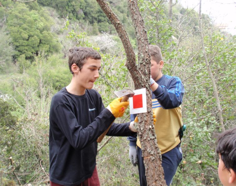&Gamma;&iota;&omicron;&rho;&tau;ή &Sigma;&eta;&mu;&alpha;&tau;&omicron;&delta;ό&tau;&eta;&sigma;&eta;&sigmaf; &sigma;&tau;&omicron; &Kappa;&alpha;&sigma;&tau;&rho;ί! (&epsilon;&iota;&kappa;ό&nu;&epsilon;&sigmaf;)