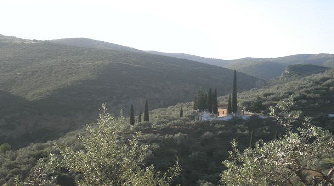 &Gamma;&iota;&omicron;&rho;&tau;ά&zeta;&epsilon;&iota; &omicron; Ά&gamma;&iota;&omicron;&sigmaf; &Nu;&iota;&kappa;ό&lambda;&alpha;&omicron;&sigmaf; &sigma;&tau;&omicron; &Alpha;&epsilon;&tau;&omicron;&chi;ώ&rho;&iota; &Kappa;&upsilon;&nu;&omicron;&upsilon;&rho;ί&alpha;&sigmaf;