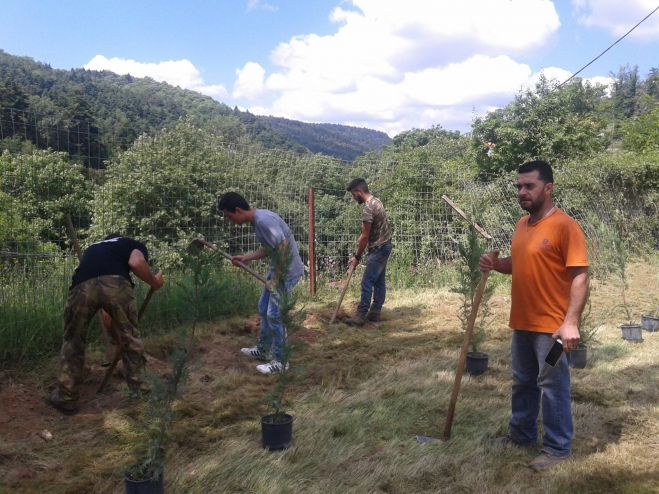 &Delta;&epsilon;&nu;&delta;&rho;&omicron;&phi;ύ&tau;&epsilon;&upsilon;&sigma;&eta; &mu;&epsilon; &mu;&epsilon;&gamma;ά&lambda;&eta; &sigma;&upsilon;&mu;&mu;&epsilon;&tau;&omicron;&chi;ή &sigma;&tau;&alpha; &Beta;&omicron;ύ&rho;&beta;&omicron;&upsilon;&rho;&alpha;! (&epsilon;&iota;&kappa;ό&nu;&epsilon;&sigmaf;)