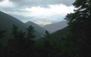 &Sigma;ύ&sigma;&kappa;&epsilon;&psi;&eta; &phi;&omicron;&rho;έ&omega;&nu; &pi;&rho;&omicron;&gamma;&rho;&alpha;&mu;&mu;&alpha;&tau;ί&zeta;&epsilon;&tau;&alpha;&iota; &gamma;&iota;&alpha; &tau;&omicron; &sigma;&chi;έ&delta;&iota;&omicron; &delta;&iota;&alpha;&chi;&epsilon;ί&rho;&iota;&sigma;&eta;&sigmaf; &tau;&omicron;&upsilon; &pi;ά&rho;&kappa;&omicron;&upsilon; &Mu;&alpha;&iota;&nu;ά&lambda;&omicron;&upsilon;