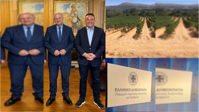 Κώστας Βλάσης: &quot;Πολύ καλά τα νέα για τους αμπελουργούς της Αρκαδίας μας&quot;!