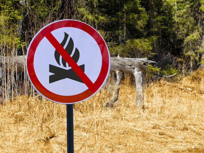 &Alpha;&nu;&tau;&iota;&pi;&upsilon;&rho;&iota;&kappa;ή &pi;&epsilon;&rho;ί&omicron;&delta;&omicron;&sigmaf; &sigma;&tau;&eta;&nu; &Alpha;&rho;&kappa;&alpha;&delta;ί&alpha; | &Alpha;&pi;&alpha;&gamma;ό&rho;&epsilon;&upsilon;&sigma;&eta; &kappa;&upsilon;&kappa;&lambda;&omicron;&phi;&omicron;&rho;ί&alpha;&sigmaf; &sigma;&epsilon; &pi;&epsilon;&rho;&iota;&omicron;&chi;έ&sigmaf; NATURA, &delta;&alpha;&sigma;&iota;&kappa;ά &omicron;&iota;&kappa;&omicron;&sigma;&upsilon;&sigma;&tau;ή&mu;&alpha;&tau;&alpha;, &pi;ά&rho;&kappa;&alpha; &kappa;&alpha;&iota; ά&lambda;&sigma;&eta;