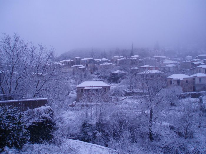&Sigma;&tau;&alpha; &lambda;&epsilon;&upsilon;&kappa;ά &nu;&tau;&upsilon;&mu;έ&nu;&eta; &eta; &Kappa;&omicron;&nu;&tau;&omicron;&beta;ά&zeta;&alpha;&iota;&nu;&alpha; (&epsilon;&iota;&kappa;ό&nu;&epsilon;&sigmaf;)