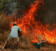 Πάτρα: Ανεξέλεγκτο το πύρινο μέτωπο στην Αχαΐα. Εκκενώθηκε μερικώς το Κάτω Καστρίτσι