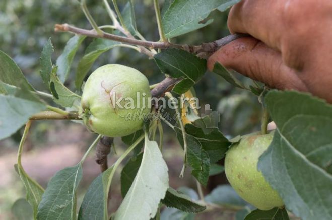 &Kappa;&alpha;&kappa;&omicron;&kappa;&alpha;&iota;&rho;ί&alpha;: &Sigma;&upsilon;&nu;&epsilon;&chi;ί&zeta;&epsilon;&tau;&alpha;&iota; &eta; &kappa;&alpha;&tau;&alpha;&gamma;&rho;&alpha;&phi;ή &tau;&omega;&nu; &zeta;&eta;&mu;&iota;ώ&nu; - &Pi;&omicron;&upsilon; &nu;&alpha; &alpha;&pi;&epsilon;&upsilon;&theta;&upsilon;&nu;&theta;&omicron;ύ&nu; &omicron;&iota; &pi;&omicron;&lambda;ί&tau;&epsilon;&sigmaf;!