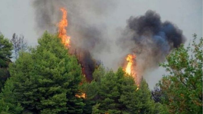 Φωτιά σε δύσβατη περιοχή μεταξύ Κερασταρίου και Βάγγου