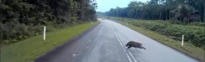 &Alpha;&upsilon;&tau;&omicron;&kappa;ί&nu;&eta;&tau;&omicron; &sigma;&upsilon;&gamma;&kappa;&rho;&omicron;ύ&sigma;&tau;&eta;&kappa;&epsilon; &mu;&epsilon; &alpha;&gamma;&rho;&iota;ό&chi;&omicron;&iota;&rho;&omicron; &pi;&rho;&iota;&nu; &tau;&eta; &Beta;&lambda;&alpha;&chi;έ&rho;&nu;&alpha;