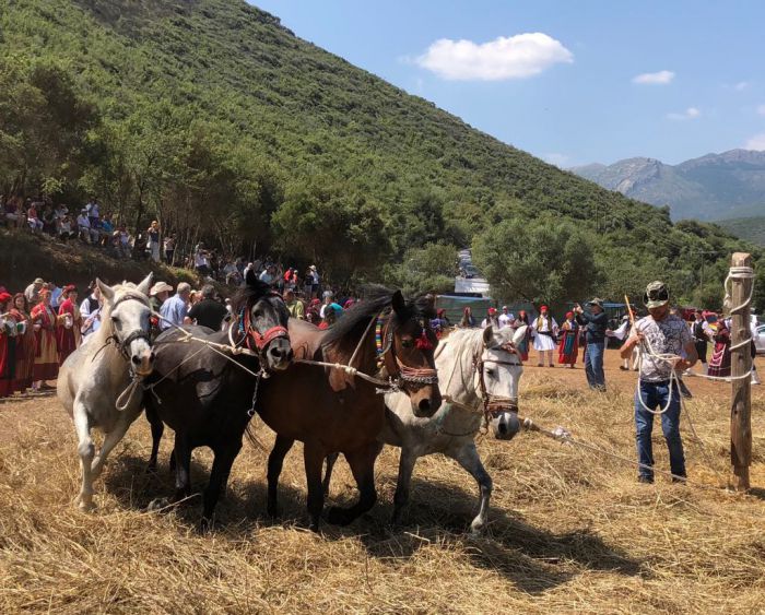 &Pi;&alpha;&rho;&alpha;&delta;&omicron;&sigma;&iota;&alpha;&kappa;ό&sigmaf; &theta;&epsilon;&rho;&iota;&sigma;&mu;ό&sigmaf; &kappa;&alpha;&iota; &alpha;&lambda;ώ&nu;&iota;&sigma;&mu;&alpha; &mu;&epsilon; ά&lambda;&omicron;&gamma;&alpha; &sigma;&tau;&eta;&nu; &Kappa;&alpha;&rho;ύ&tau;&alpha;&iota;&nu;&alpha;!