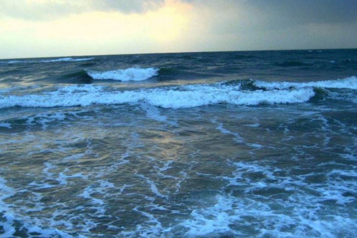 &Theta;ά&nu;&alpha;&tau;&omicron;&sigmaf; &lambda;&omicron;&upsilon;ό&mu;&epsilon;&nu;&eta;&sigmaf; &gamma;&upsilon;&nu;&alpha;ί&kappa;&alpha;&sigmaf; &sigma;&epsilon; &theta;ά&lambda;&alpha;&sigma;&sigma;&alpha; &tau;&omicron;&upsilon; &Tau;&upsilon;&rho;&omicron;ύ