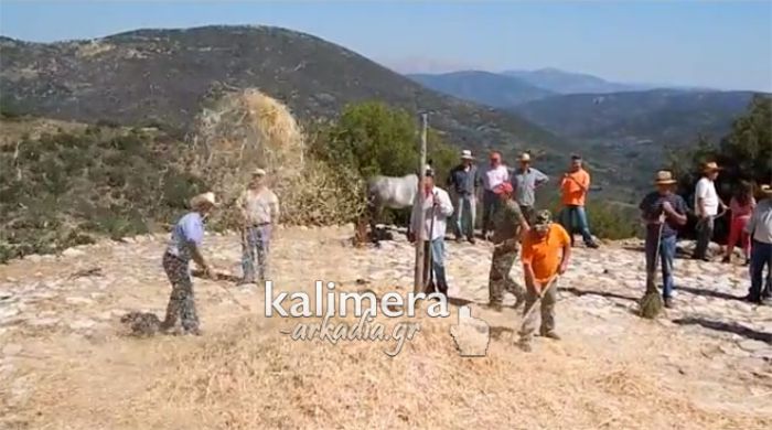 Θέρισαν και αλώνισαν στην ορεινή Μελιγού της Κυνουρίας (vd)!