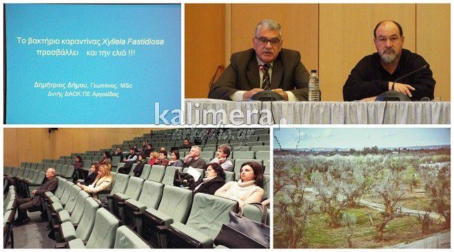 Επικίνδυνο βακτήριο προκαλεί πλήρη νέκρωση φυτών – Τι να προσέχετε! (vd)