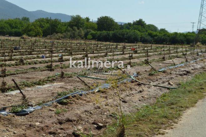 Παράταση για να πληρώσουν τις οφειλές τους οι πληγέντες από τη θεομηνία σε περιοχές του Δήμου Τρίπολης