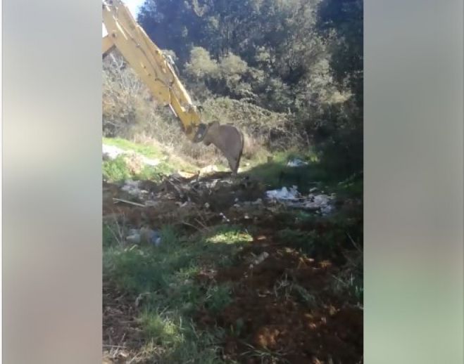 &Epsilon;&xi;&alpha;&gamma;&rho;&iota;&omega;&mu;έ&nu;&omicron;&sigmaf; &omicron; &Alpha;&nu;&tau;&iota;&delta;ή&mu;&alpha;&rho;&chi;&omicron;&sigmaf; &Pi;&alpha;&pi;&alpha;&delta;&eta;&mu;&eta;&tau;&rho;ί&omicron;&upsilon; &mu;&epsilon; &tau;&eta; &chi;&omega;&mu;&alpha;&tau;&epsilon;&rho;ή &sigma;&tau;&omicron; &delta;&rho;ό&mu;&omicron; &alpha;&pi;ό &Zeta;&epsilon;&upsilon;&gamma;&omicron;&lambda;&alpha;&tau;&iota;ό &pi;&rho;&omicron;&sigmaf; &Lambda;&omicron;&upsilon;&kappa;ά (vd)