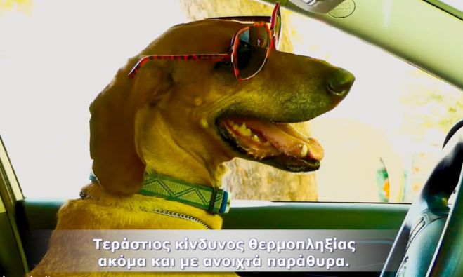 "&Tau;ώ&rho;&alpha; &mu;&epsilon; &tau;&eta;&nu; &zeta;έ&sigma;&tau;&eta; &pi;&omicron;&tau;έ &zeta;ώ&alpha; &mu;ό&nu;&alpha; &tau;&omicron;&upsilon;&sigmaf; &mu;έ&sigma;&alpha; &sigma;&tau;&omicron; &alpha;&mu;ά&xi;&iota;" (vd)