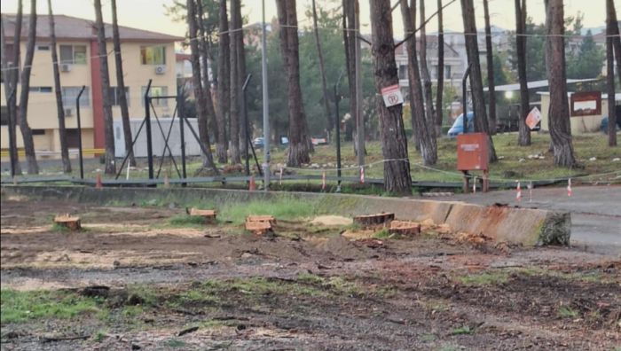 Για &quot;άρση επικινδυνότητας&quot; η κοπή δέντρων στο Παναρκαδικό Νοσοκομείο