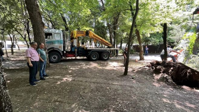 &Delta;&iota;&epsilon;&upsilon;&kappa;&rho;&iota;&nu;ή&sigma;&epsilon;&iota;&sigmaf; &Lambda;&alpha;&gamma;&omicron;ύ &gamma;&iota;&alpha; &tau;&eta;&nu; &pi;&tau;ώ&sigma;&eta; &tau;&omicron;&upsilon; &delta;έ&nu;&tau;&rho;&omicron;&upsilon; &sigma;&tau;&omicron; &pi;ά&rho;&kappa;&omicron; &tau;&eta;&sigmaf; &pi;&lambda;&alpha;&tau;&epsilon;ί&alpha;&sigmaf; Ά&rho;&epsilon;&omega;&sigmaf; | "Ή&tau;&alpha;&nu; έ&nu;&alpha; έ&kappa;&tau;&alpha;&kappa;&tau;&omicron; &sigma;&upsilon;&mu;&beta;ά&nu;. &Theta;&alpha; &upsilon;&pi;&omicron;&beta;&lambda;&eta;&theta;&epsilon;ί έ&kappa;&theta;&epsilon;&sigma;&eta; &sigma;&tau;&omicron; &Delta;&alpha;&sigma;&alpha;&rho;&chi;&epsilon;ί&omicron;"