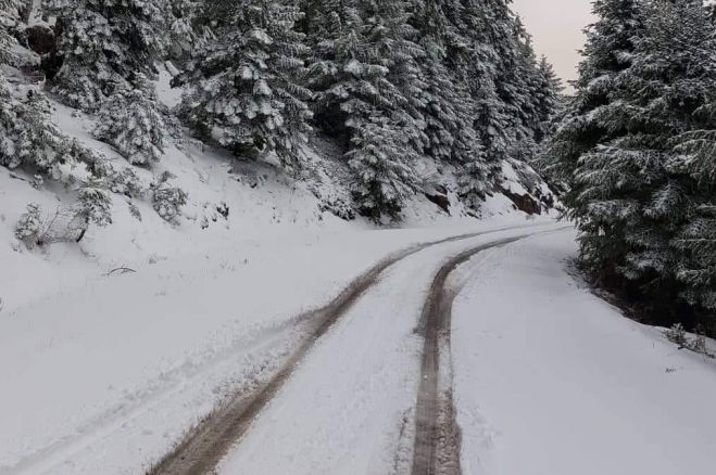 &Tau;&omicron; ... έ&sigma;&tau;&rho;&omega;&sigma;&epsilon; &sigma;&tau;&omicron; &Mu;&alpha;ί&nu;&alpha;&lambda;&omicron; - &Delta;&epsilon;ί&tau;&epsilon; &beta;ί&nu;&tau;&epsilon;&omicron; &alpha;&pi;ό &tau;&omicron; &chi;&iota;ό&nu;&iota;! (vd)