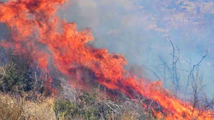 Φωτιά στη Γορτυνία | Εκκενώνεται το χωριό Δόξα