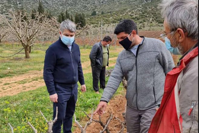 Οδυσσέας: "Όλοι όσοι έπαθαν ζημιά πρέπει να τύχουν ίσης μεταχείρισης και να αποζημιωθούν από τον ΕΛΓΑ"