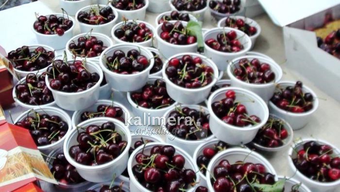 &Gamma;&iota;&omicron;&rho;&tau;ή &Mu;ά&eta; &kappa;&alpha;&iota; &Kappa;&epsilon;&rho;&alpha;&sigma;&iota;&omicron;ύ &sigma;&tau;&omicron;&nu; ό&mu;&omicron;&rho;&phi;&omicron; &Pi;&lambda;ά&tau;&alpha;&nu;&omicron; &Kappa;&upsilon;&nu;&omicron;&upsilon;&rho;ί&alpha;&sigmaf;!