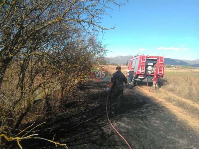 &Phi;&omega;&tau;&iota;ά &nu;ό&tau;&iota;&alpha; &tau;&eta;&sigmaf; &chi;&omega;&mu;&alpha;&tau;&epsilon;&rho;ή&sigmaf; &tau;&eta;&sigmaf; &Alpha;&gamma;ί&alpha;&sigmaf; &Tau;&rho;&iota;ά&delta;&alpha;&sigmaf; &sigma;&tau;&eta;&nu; &Tau;&rho;ί&pi;&omicron;&lambda;&eta;